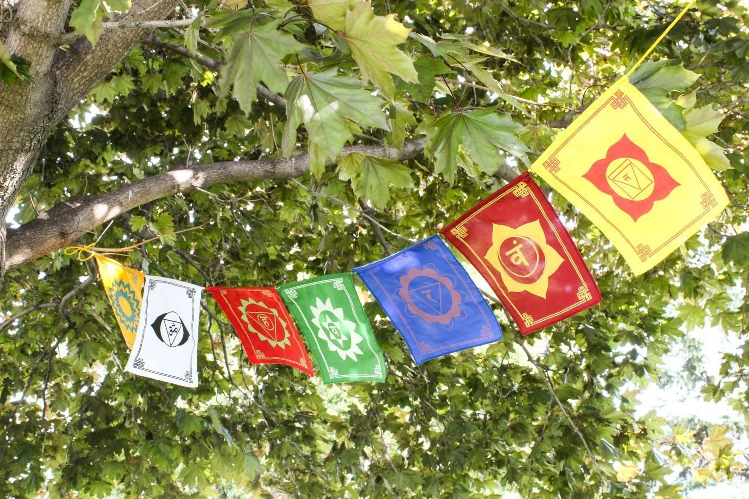 7 Chakra Energy Prayer Flags