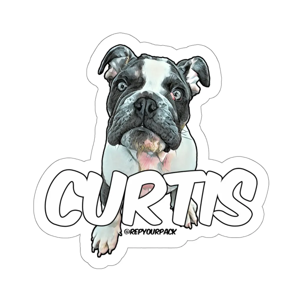 Curtis Stickers