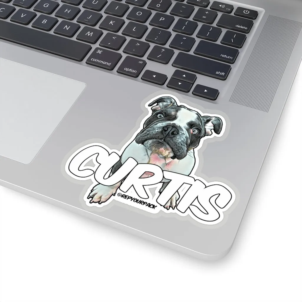 Curtis Stickers