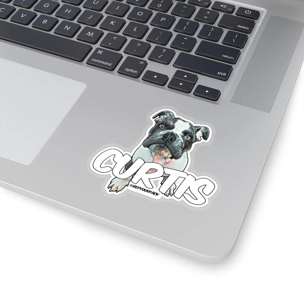 Curtis Stickers