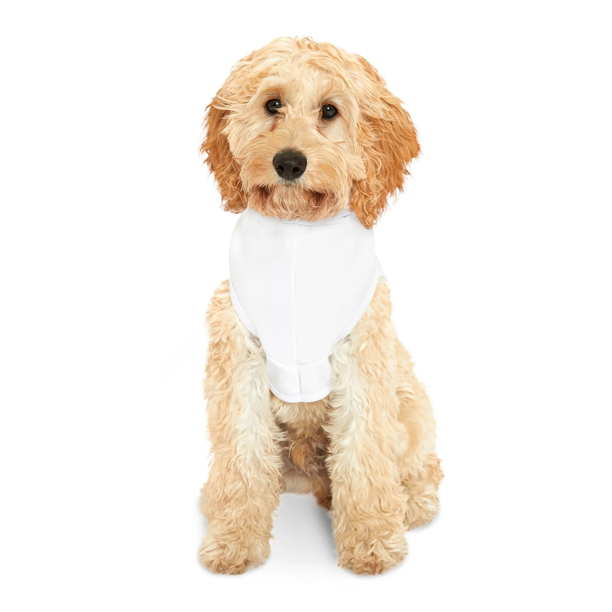 Kennedy Classic II Pet Hoodie