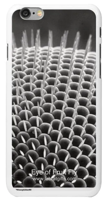 "Eye of Fruit Fly" - iPhone 6/6s Case