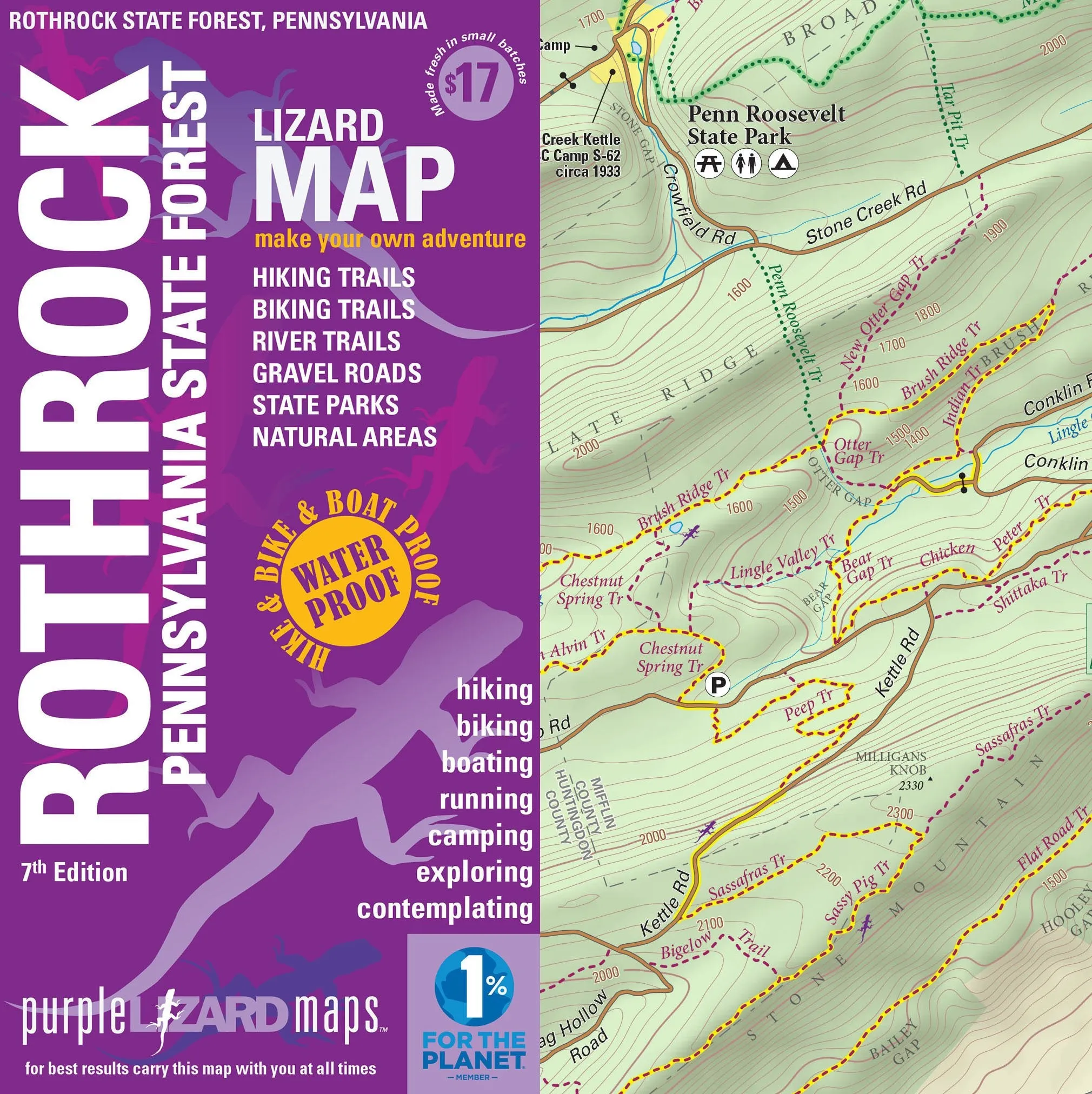 Rothrock Lizard Map 7th Edition, Pennsylvania