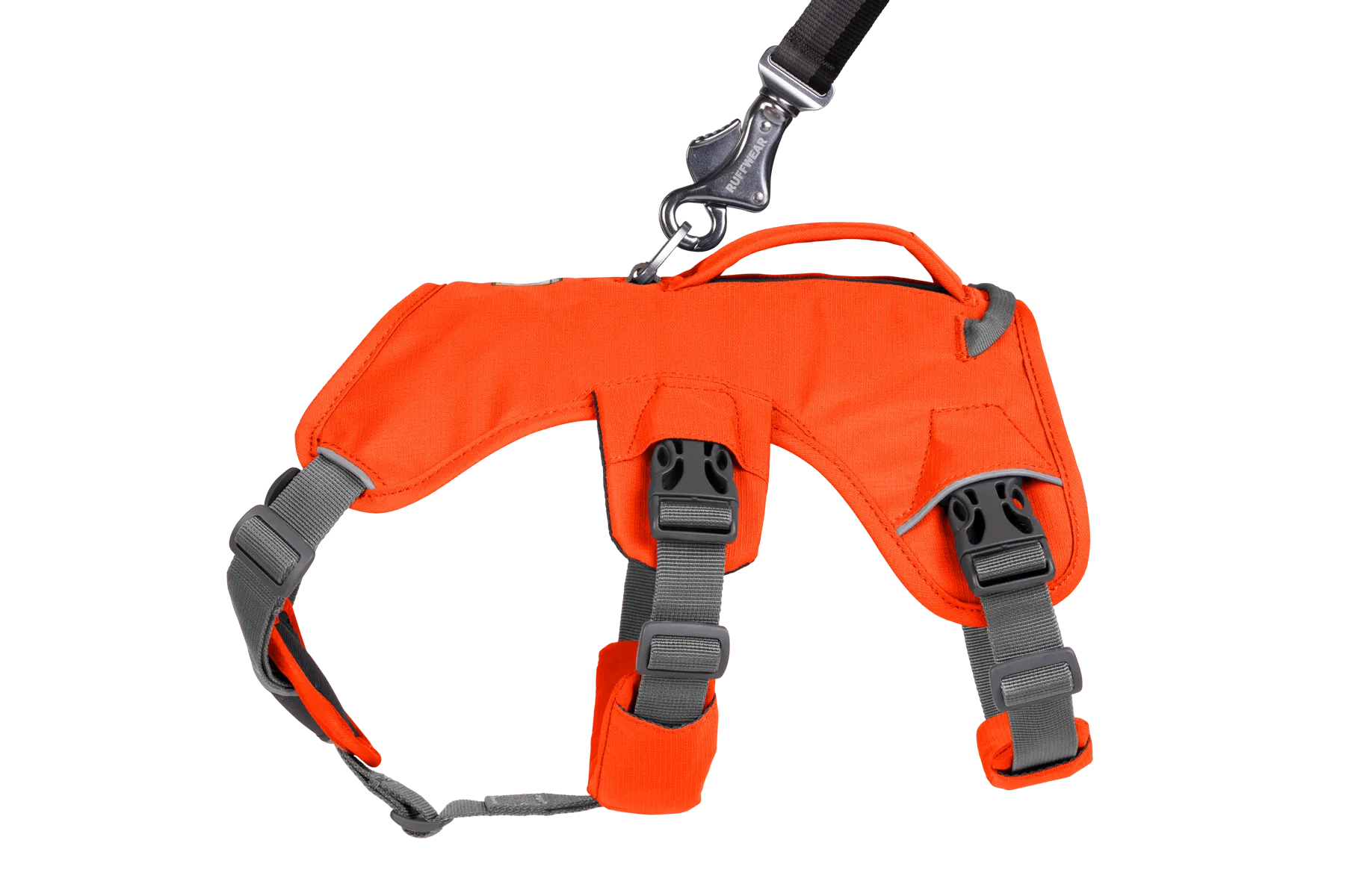 RP - Web Master™ Dog Harness with Handle