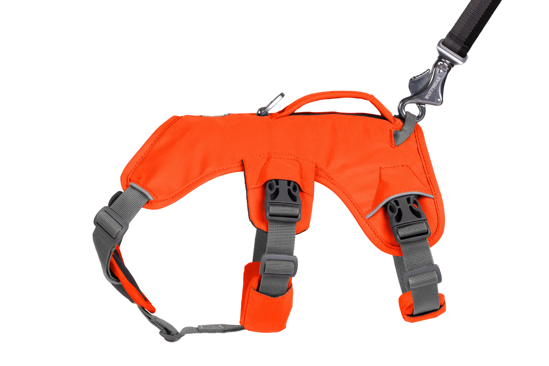 RP - Web Master™ Dog Harness with Handle