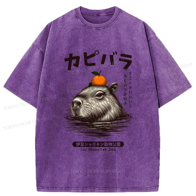 Tokyo-Tiger Capybara Hot Spring Washed T-Shirt