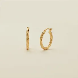 Twisted Hoop Earrings