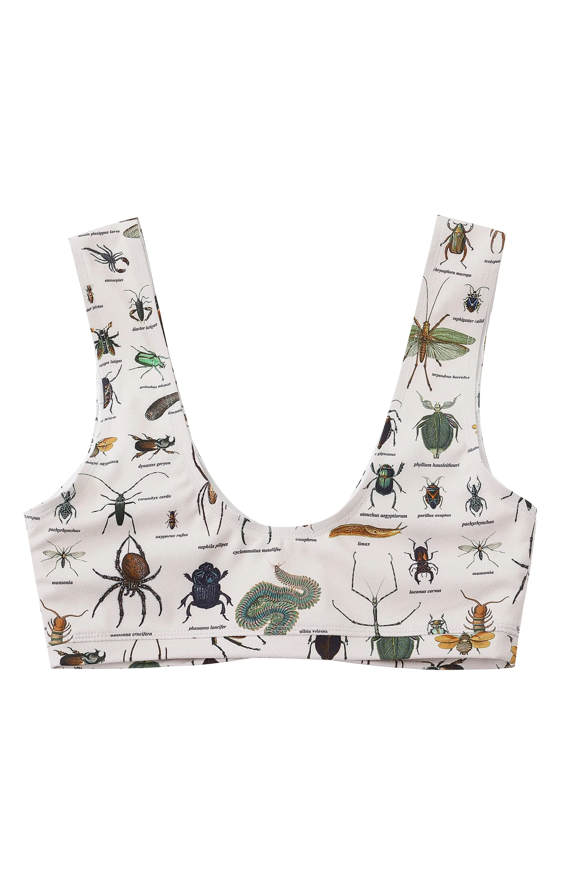 Worst Bugs Yoga/Swim Scrunch Bra